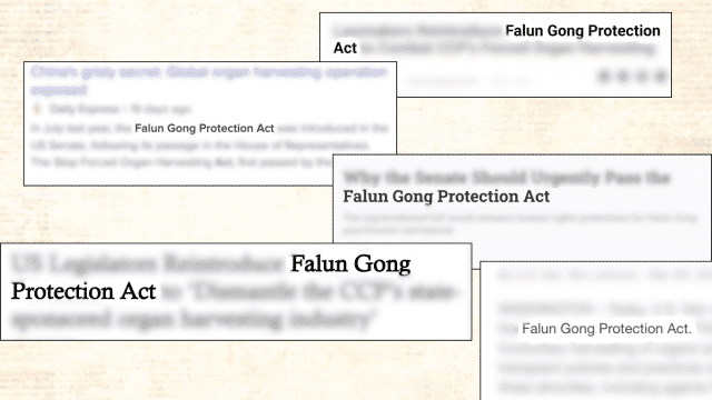 Raccolta di notizie sulla Legge per la protezione del Falun Gong (2025-2026). (A cura di Faluninfo)